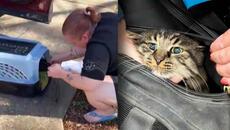 Missing Pets Found Very Far Away From Home - Videoclip.bg