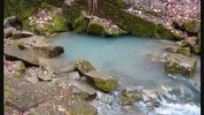 Antonio Vivaldi - Four Seasons - Budapest Strings, Bela Banfalvi, Conductor-2011-Part 1 of 2 - Videoclip.bg