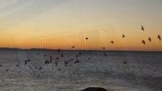 SvetlioFotisYo-Кладата на душата/Kladata na dushata - Videoclip.bg