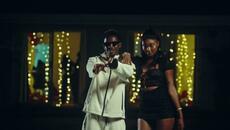 SaintFloew - Don Tolipito (Official Music Video) - Videoclip.bg