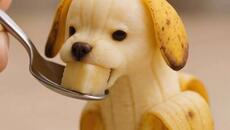 Бананено кученце си похапва - Videoclip.bg