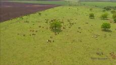 Конезаводът    ❝Васил  Коларов❝ - Videoclip.bg