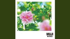 Коледарски буенек - Videoclip.bg