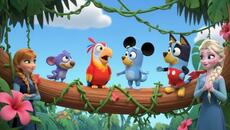 Mickey Mouse & Bluey’s Magical Jungle Adventure | Anna and Elsa Kids Story - Videoclip.bg