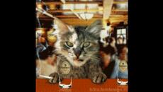 Диско Кътче при Котака  Party Remix - Videoclip.bg