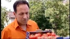 Аламинут - 04/07/2008 (част 2) - Videoclip.bg