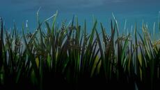 Hikaru ga Shinda Natsu - ep 2 bg sub - Videoclip.bg