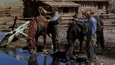 Шейн (Shane 1953) 2/2 - Videoclip.bg