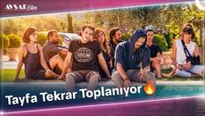 Tayfa Tekrar Toplanıyor: Biz Böyleyiz | Boran Kuzum & Şebnem Bozoklu & Özge Özpirinçci & Hümeyra - Videoclip.bg