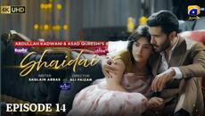 Shaidai Episode 14 [Eng Sub] - | Feroze Khan & Sahar Hashmi | 29th May 2026 - Drama Review  - Videoclip.bg