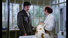 Циганина (Lo Zingaro 1975) 2/2 - Videoclip.bg