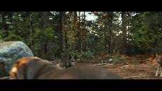 A Dogs Way Home Пътят към дома 2019 BGaud(4) - Videoclip.bg