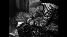 Девет живота (Ni liv 1957) 1/2 - Videoclip.bg