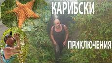 КАРИБСКИ ПРИКЛЮЧЕНИЯ ИЗКАЧВАНЕ НА ВУЛКАН Caribbean Adventures #travelvlog #nature #hiking #forage - Videoclip.bg