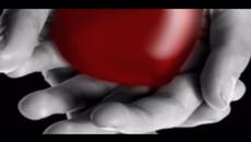 Твоята скъпоценна любов .. Whitesnake - Your Precious Love - Videoclip.bg