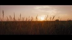 Сърцето ми бие !2о14» Ellie Goulding - Beating Heart + Превод - Videoclip.bg