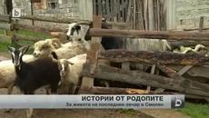 Последният овчар в село Смилян - Това е България! - Videoclip.bg