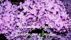 Свети Георги - Зелен, зелен Гергьовден! - Videoclip.bg
