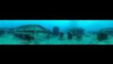 Подводен Свят в Синьо - Videoclip.bg