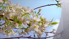 Indila * Mini World * (бг превод) Красива песен и красиви кадри от нашата планета - Videoclip.bg