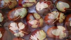 Великденски Камбанен Звън - Детска Песничка - Videoclip.bg