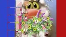 Честит Рожден ден! - Videoclip.bg