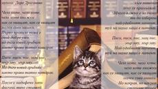 Чело коте книжки - Детска Песничка - Videoclip.bg