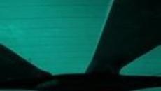 Ново!Григор Димитров и Маша в реклама на Найк 2014 - Videoclip.bg