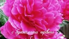 Свети Георги - Зелен, зелен Гергьовден! - Videoclip.bg