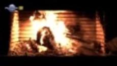 Анелия - Запомни / Фен Видео ULTRA 4K / 2014 - Videoclip.bg