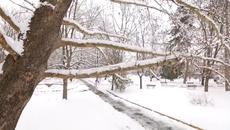 Орхан Мурад и Шенай - Един живот (Нова Песен ) 2014 - Videoclip.bg