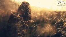 Страхотен Vocal » Protoculture feat. Tricia Mcteague - Burning Bridges (Текст и превод) ) - Videoclip.bg