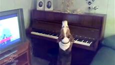Куче свири на пиано и пее - Videoclip.bg