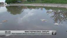 Мистериозната смърт на 22-годишен младеж държи в напрежение Съединение - Videoclip.bg