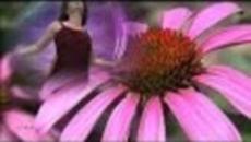 Richard Clayderman - Les Fleurs Sauvages - ДИВИ ЦВЕТЯ - Videoclip.bg