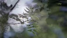 Axel Rudi Pell - Way to Mandalay | Превод с Текст - Videoclip.bg