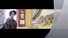 Mary Anning -215 години от нейното рождение - Videoclip.bg
