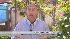 Виното и ракията ще поскъпнат - Videoclip.bg
