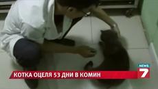 Котка, заклещена в комин, оцеля 53 дни - Videoclip.bg