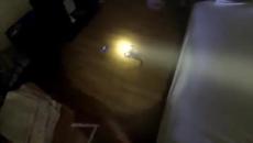 Пожарникари спасяват котка в Русия - Videoclip.bg