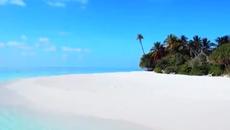 Zucchero Wonderful Life - Videoclip.bg