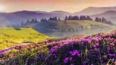 Музика на лека нощ - Relaxing in the nature - Tom Barabas - Videoclip.bg