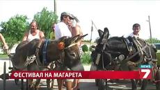 Български магарета играят футбол 03.08.2014 - Videoclip.bg