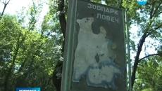Снимка на убития в Ловеч ягуар предизвика нова вълна възмущение - Videoclip.bg