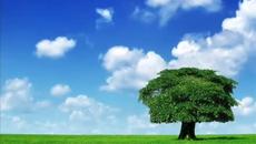 Песента от Революция Z • Ben Cocks All the little things - Videoclip.bg