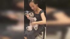 Смях и гафове 2 - 08.2014 Компилация - Videoclip.bg