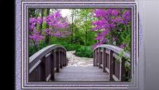 Richard Clayderman - Hungarian Sonata - Videoclip.bg