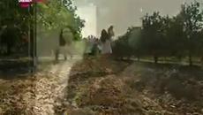 Необуздано сърце 81 епизод 1 част - Videoclip.bg