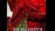 В денят на Мария - Истинската Любов - Videoclip.bg