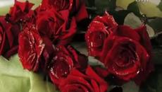 Днес е Голяма Богородица! Честит Празник! - Videoclip.bg